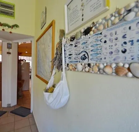 Apartment In With Terrace, Air Condition, Wifi